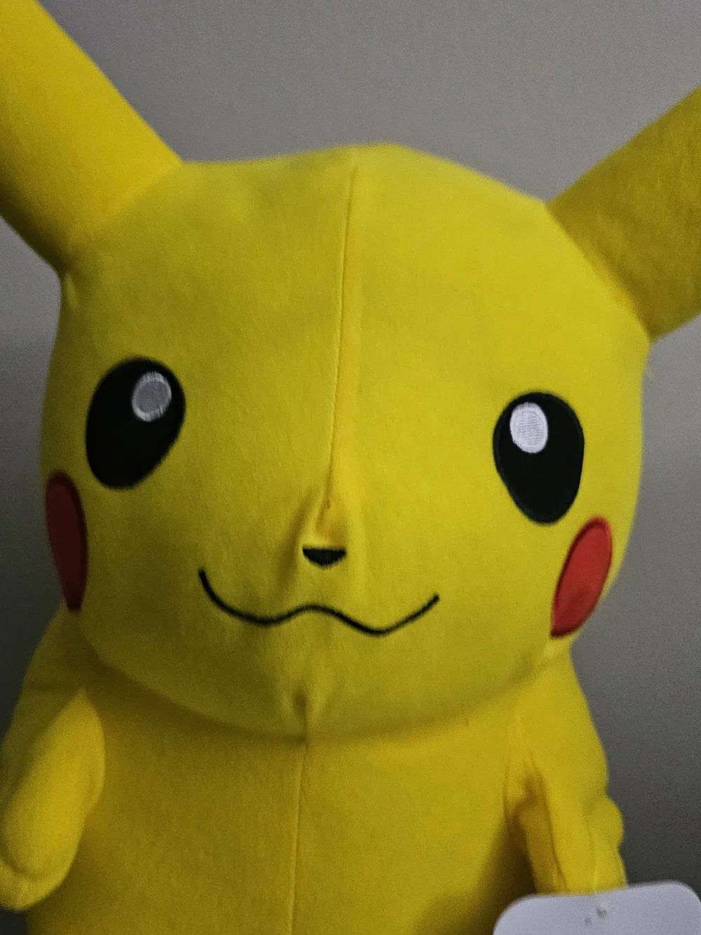 Pokemon soft pikachu